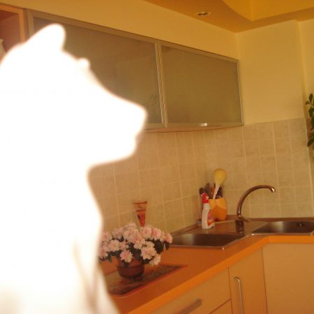 fantome!!!